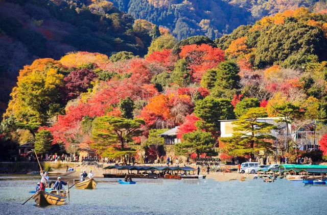 In Nara, The Old Capital of Japan, You Can Experience The True Japan and Appreciate The Cherry Blossoming As Well As The Maples!