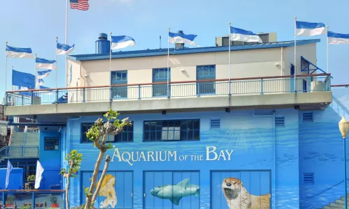 Aquarium of the Bay