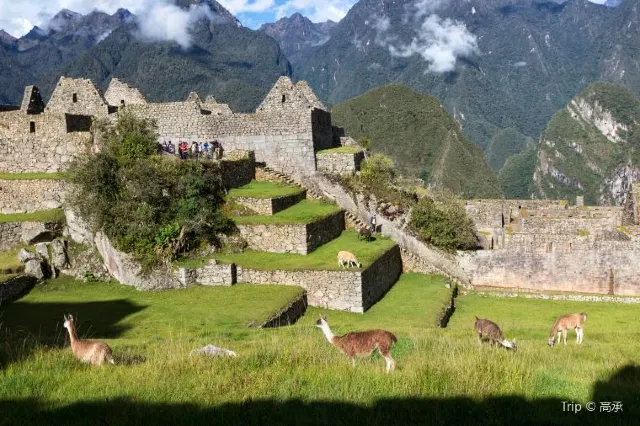 Take Your Kids to Machu Picchu: Guide