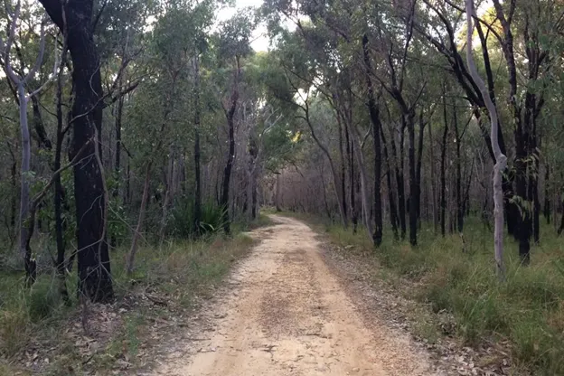 Best Cycling Treks In and Around Sydney For The Adventurous