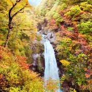 自然・風景