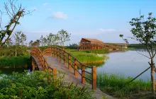 Dongtan Wetland Park