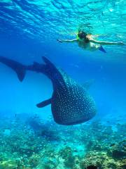 Paddle Boarding in Phi Phi Islands