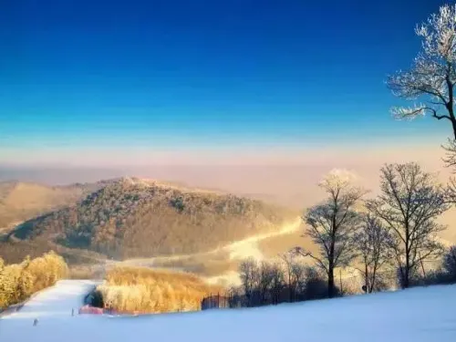 The Magic of Spring's White Ice and Snow with The Hint of Blooming Flowers