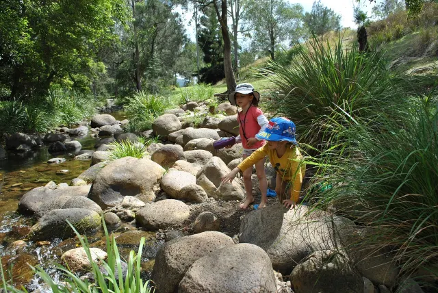 Hand-feeding Flamingo: A Guide to Sarasota Jungle Gardens