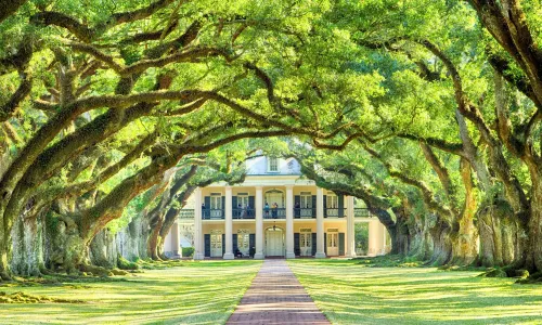 Oak Alley Plantation