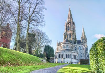 Saint Fin Barre's Cathedral