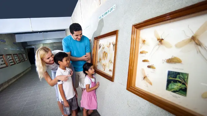 3_Kuala Lumpur Butterfly Park