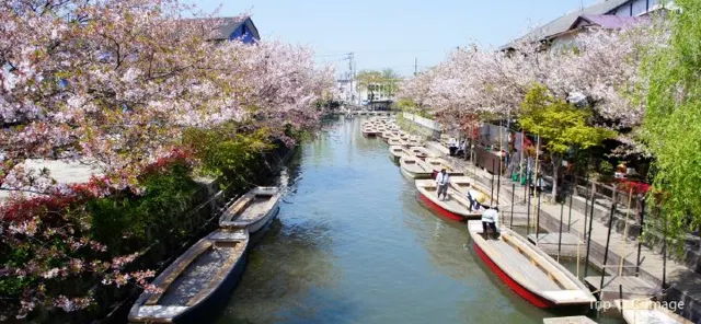 【福岡自由行】10大必去福岡景點懶人包！附機票優惠、酒店推薦