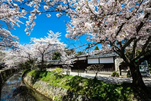 Top 15 Things to Do in Kyoto