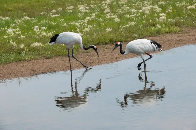 China’s 10 Most Beautiful Wetlands