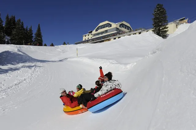 Gallop Among Towering Snowy Mountains with a Panoramic View of the Alps