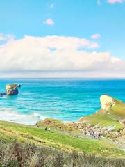 Tunnel Beach Walking Track