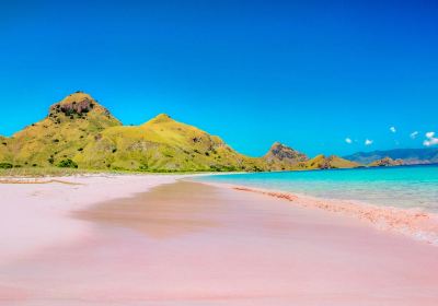 Komodo National Park