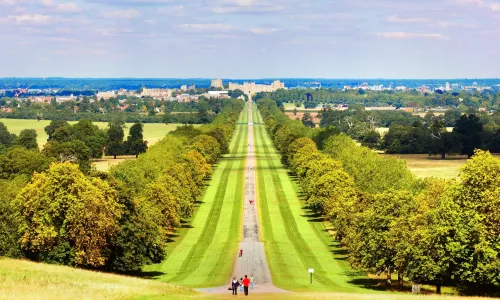 Windsor Great Park