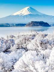 富士山