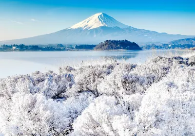 Mount Fuji