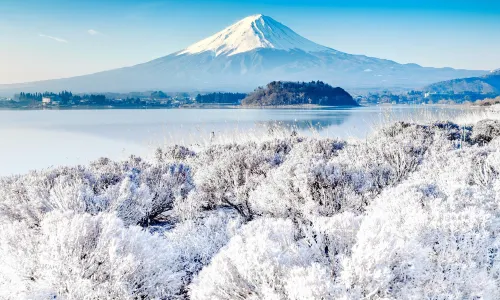 Mount Fuji