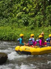 Rafting in Bali