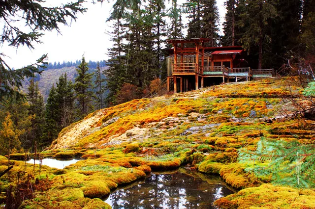 Touring Around Jiuzhaigou, Enjoying The Scenery Of West Sichuan In The Colorful Forests Of Heishui.