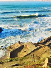 Sutro Baths