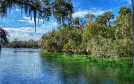 Blue Spring State Park