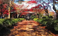 Gotokuji Temple