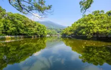 Luofu Mountain Scenic Area