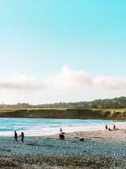 Carmel Beach