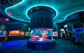 Ripley's Aquarium of Canada