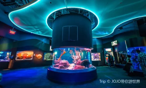 Ripley's Aquarium of Canada