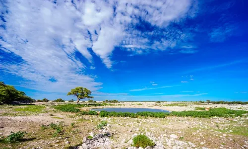 Okaukuejo waterhole