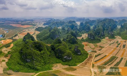 White-Headed Langur Ecological Tourism Area