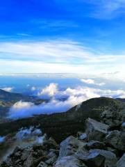 Mount Apo