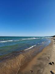 Warren Dunes State Park