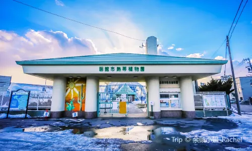 Hakodate Tropical Botanical Garden (Hot-Tubbing Monkeys)