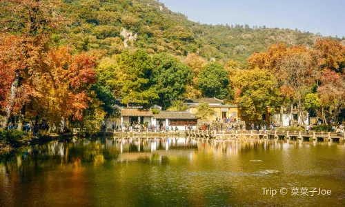 Suzhou Maple Leaf Viewing