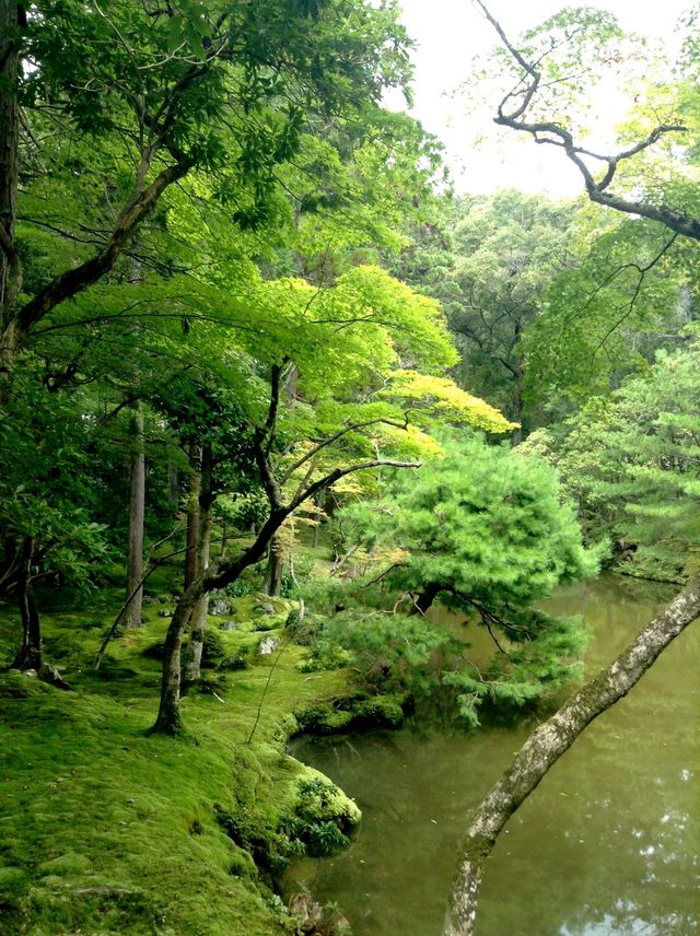 Saihoji Temple——Japan Kyoto