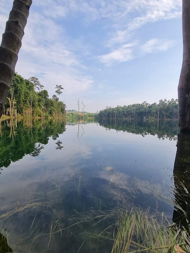  Setia Alam Community Forest 🍃✨