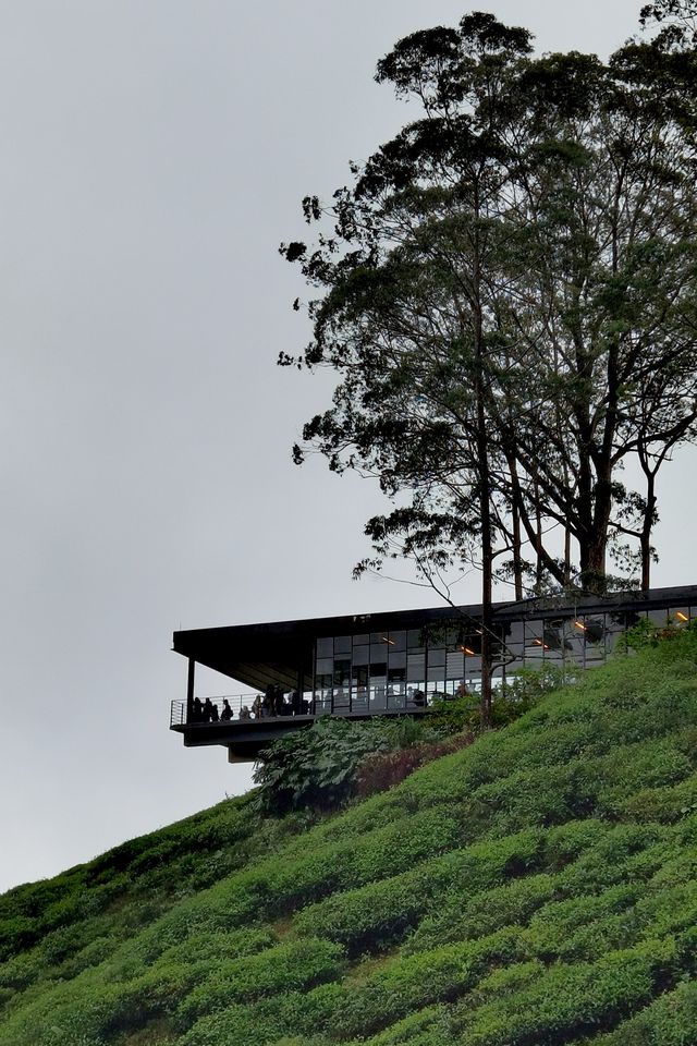 Jinmalun Plateau enjoys coolness and greenery.