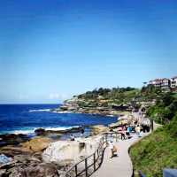 Bondi To Bronte Coastal Walk