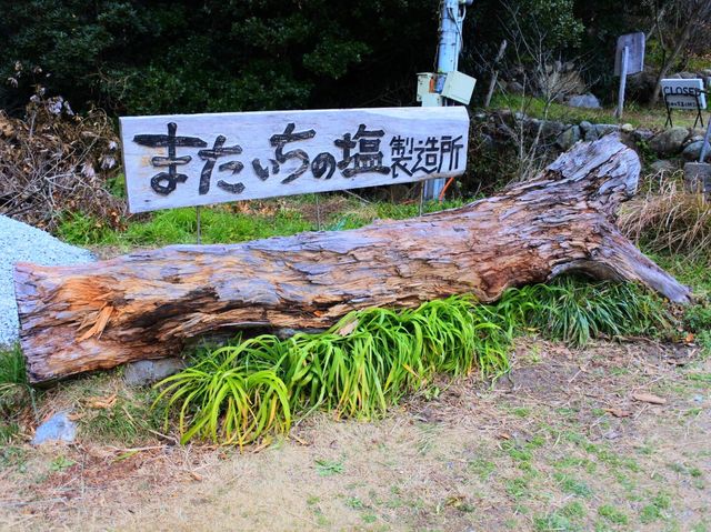 美味しいも映えも揃う糸島