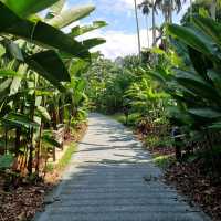 Symphony Lake & Heliconia Walk