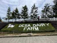 Desa Cattle Dairy Farm