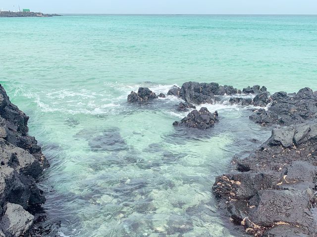 [제주도여행] 함덕해변 🏖