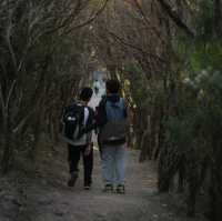 Hiking like the hobbits in Mt Oberon