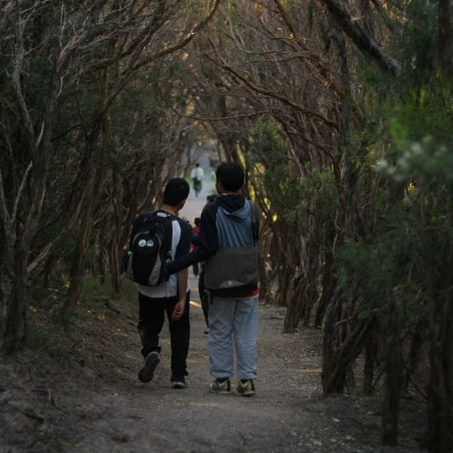 Hiking like the hobbits in Mt Oberon