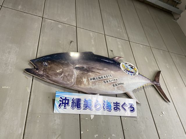 漁港内で格安。マグロをお腹いっぱい食べれます。