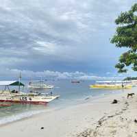 bohol tour for solo traveler