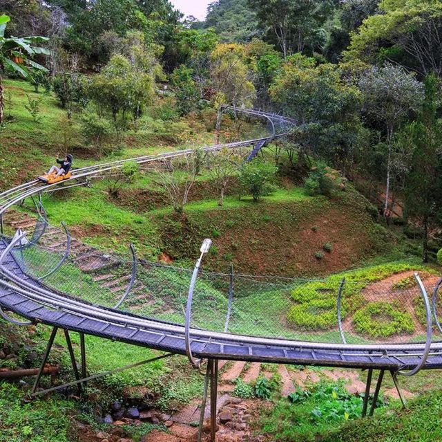 Datanla Alpine Coaster